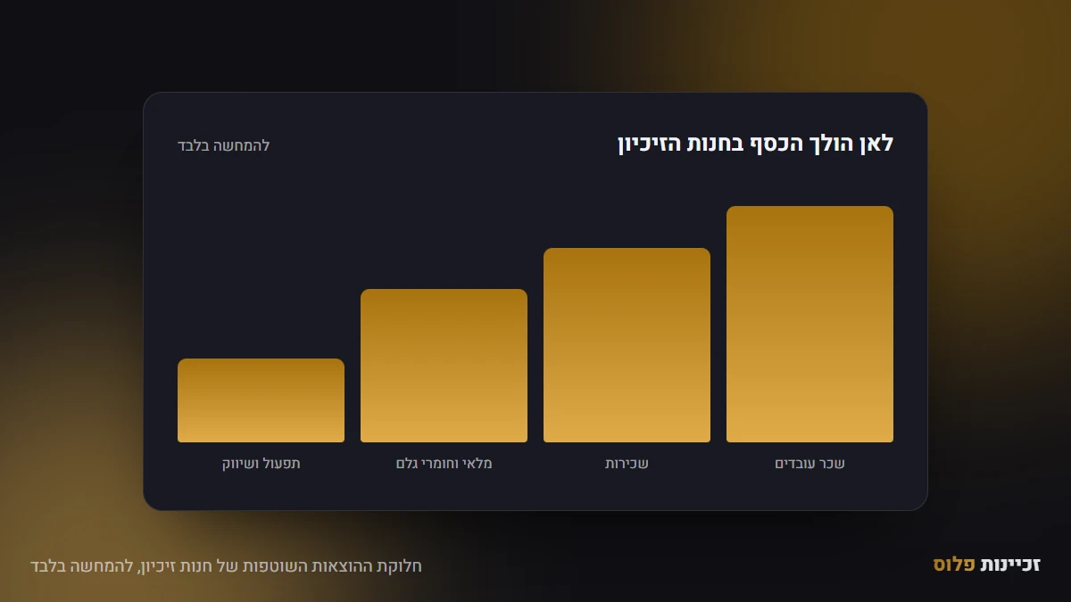 חלוקת ההוצאות השוטפות של חנות זיכיון, להמחשה בלבד
