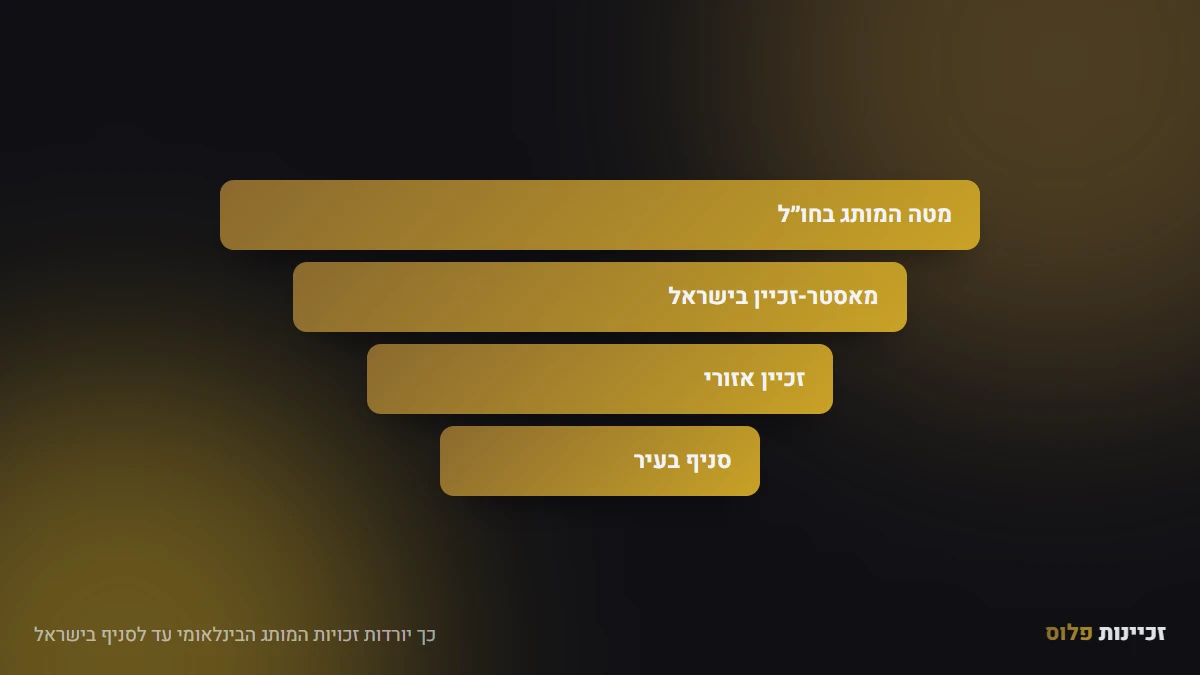 כך יורדות זכויות המותג הבינלאומי עד לסניף בישראל
